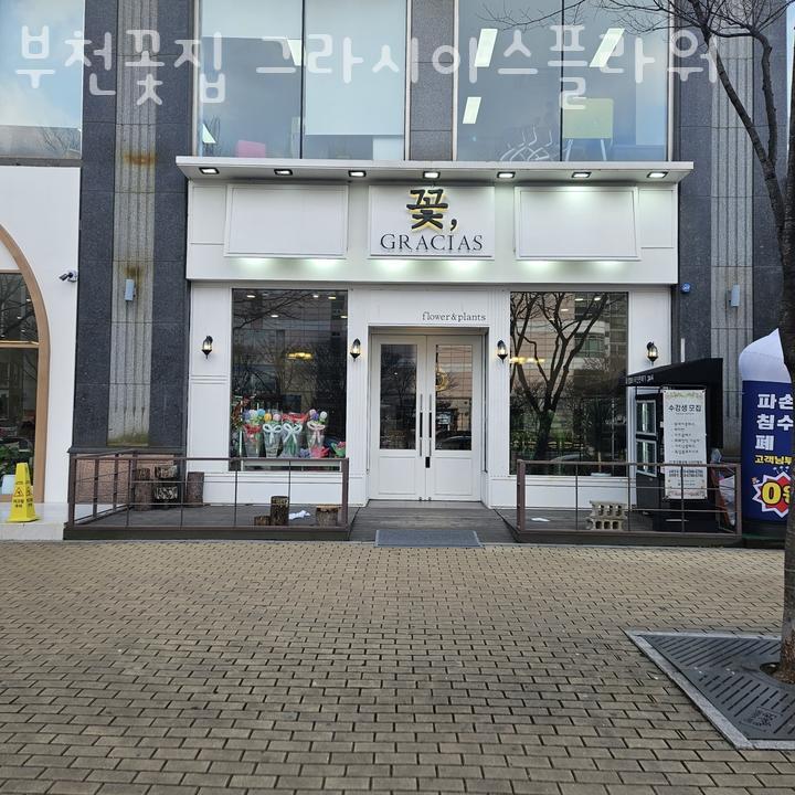 그라시아스꽃집 이미지