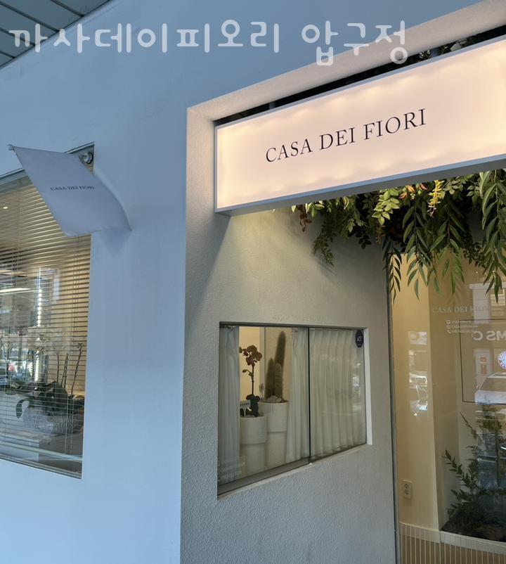 피오리 이미지