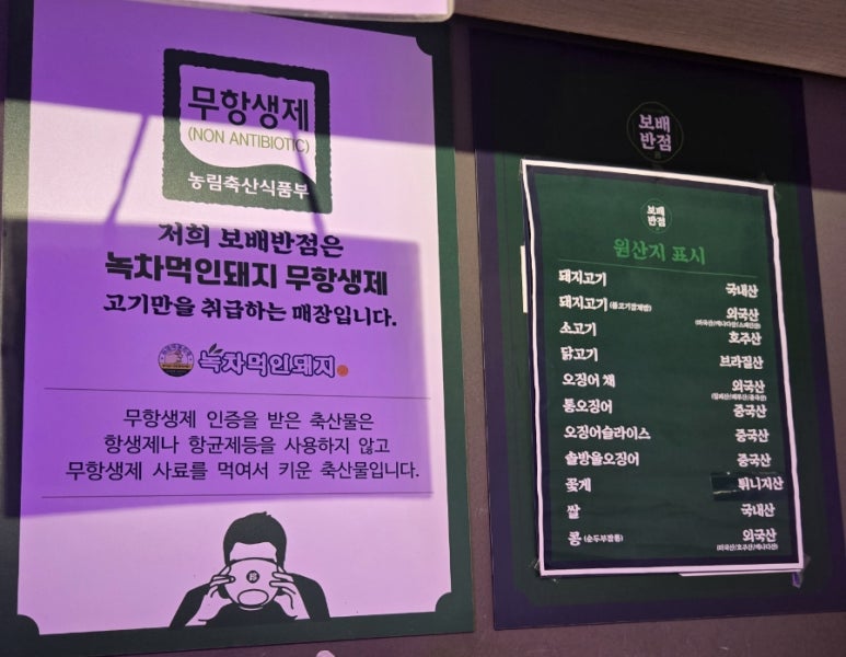 보배반점용인 이미지
