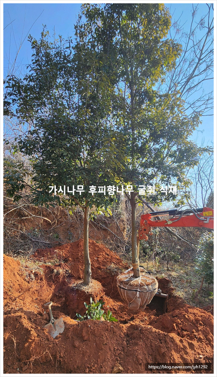두가시 농장 이미지