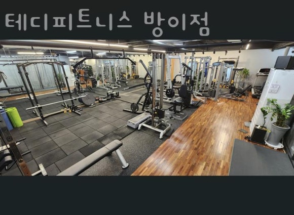 테디피트니스 이미지