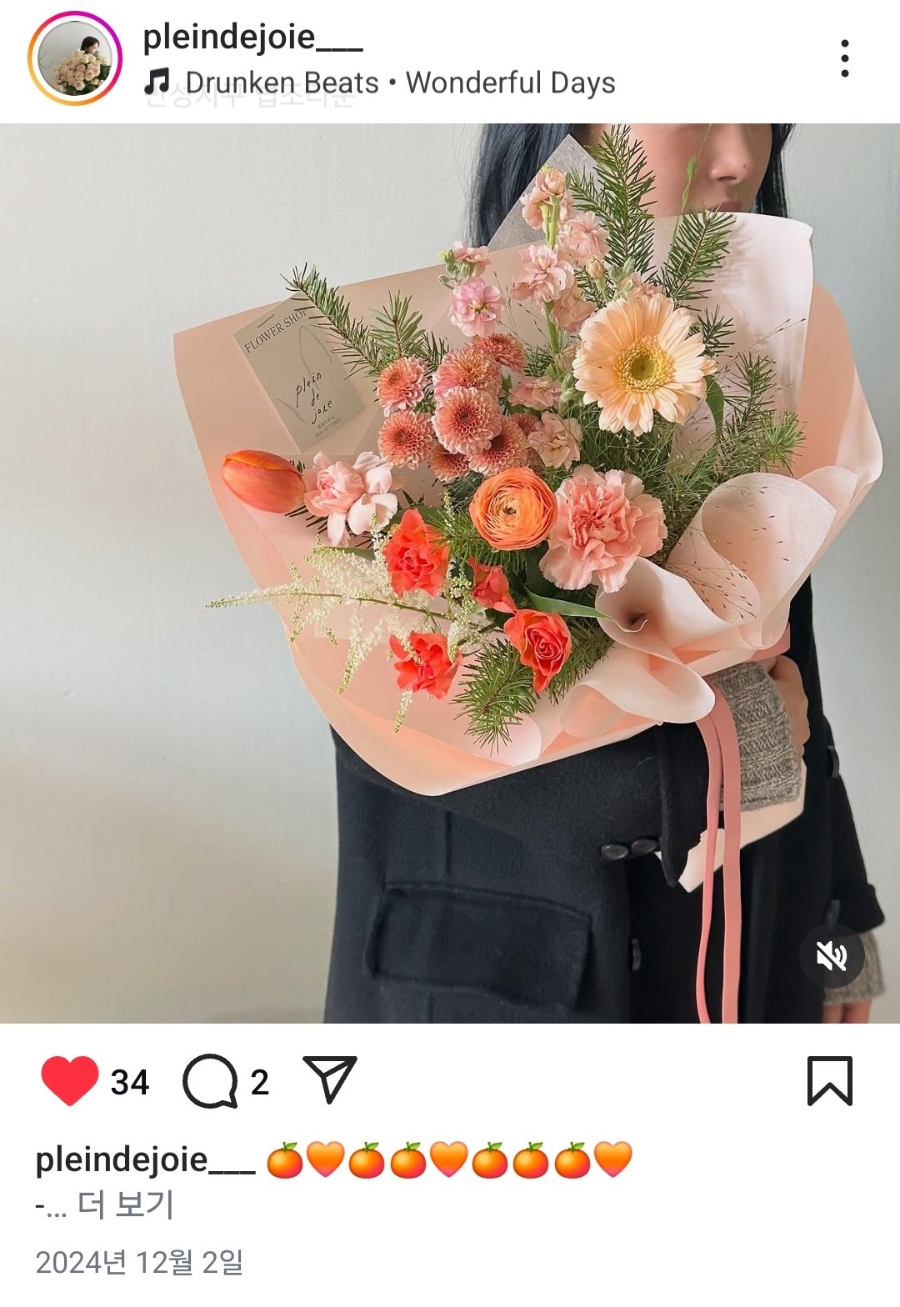 플랑드주아 이미지