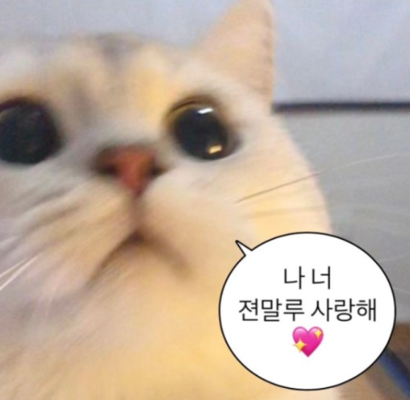 대나무횟집 이미지