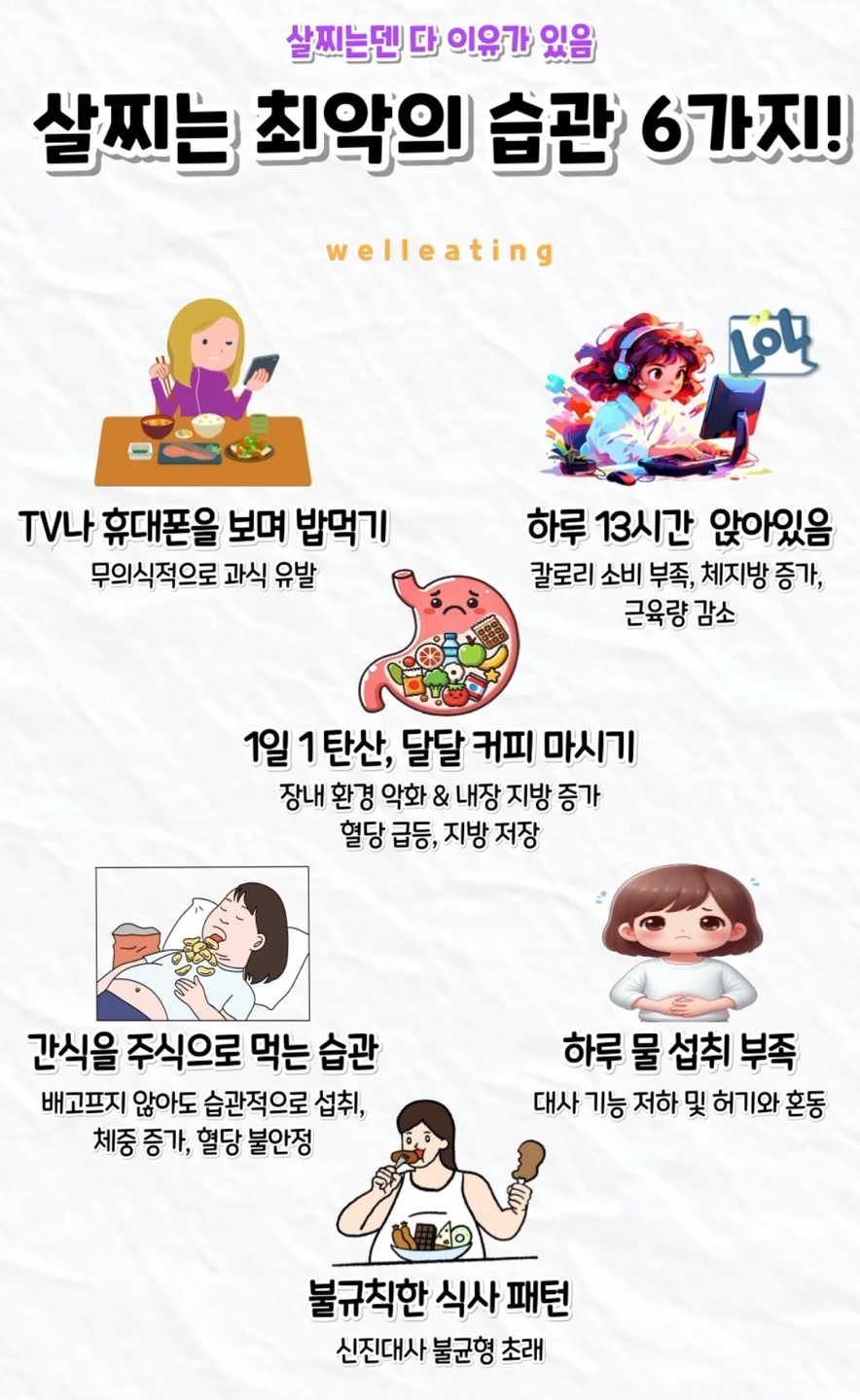 매일김밥 이미지