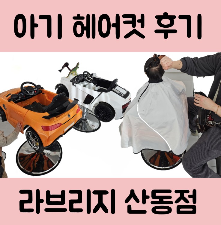 라브리지산동점 이미지