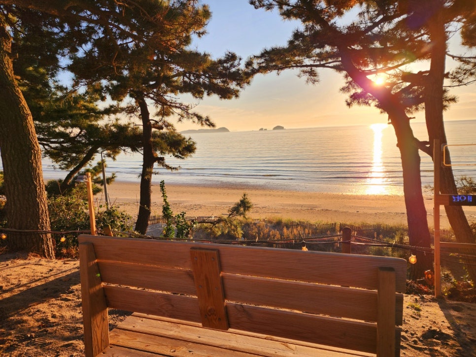 복고바다 이미지
