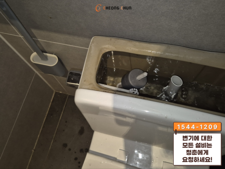 청춘집수리 이미지