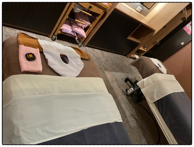 스파나무 이미지