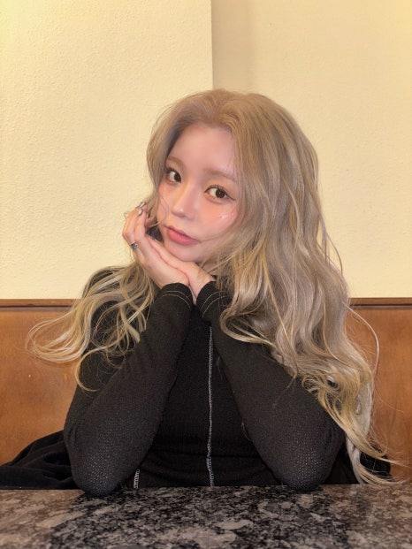 베이지해 이미지