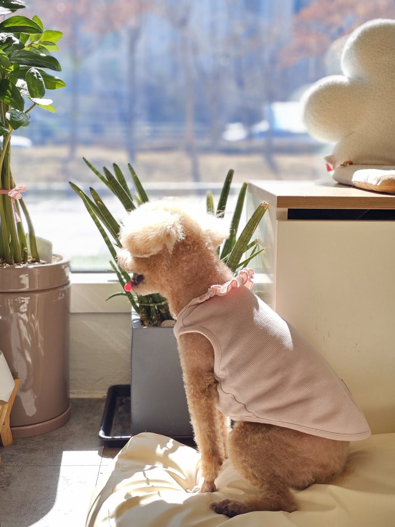 여우하우야영장 이미지