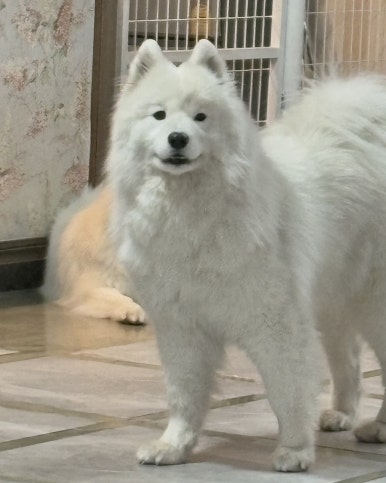겨울이머무는집 이미지