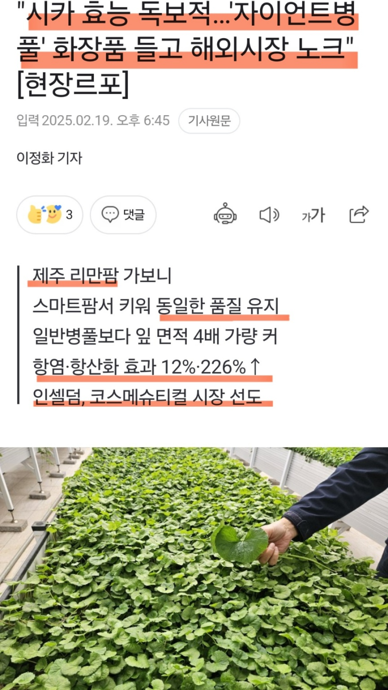 인셀덤 뷰티라인 이미지