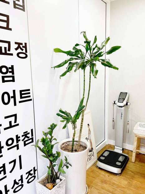 경희참좋은한의원 이미지