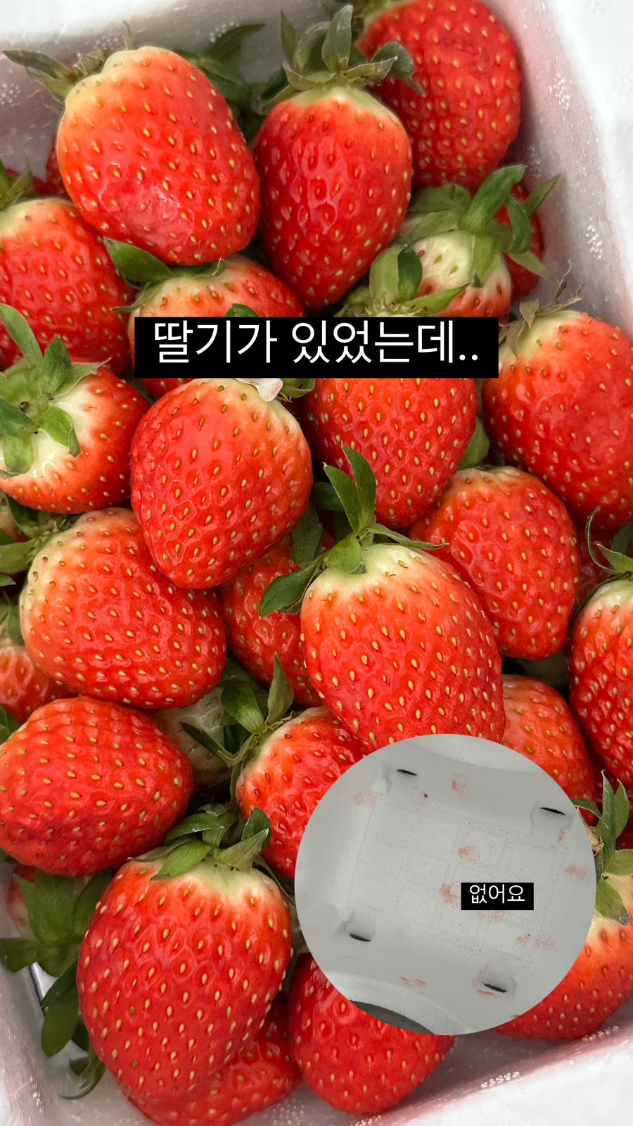 훈이상회 이미지