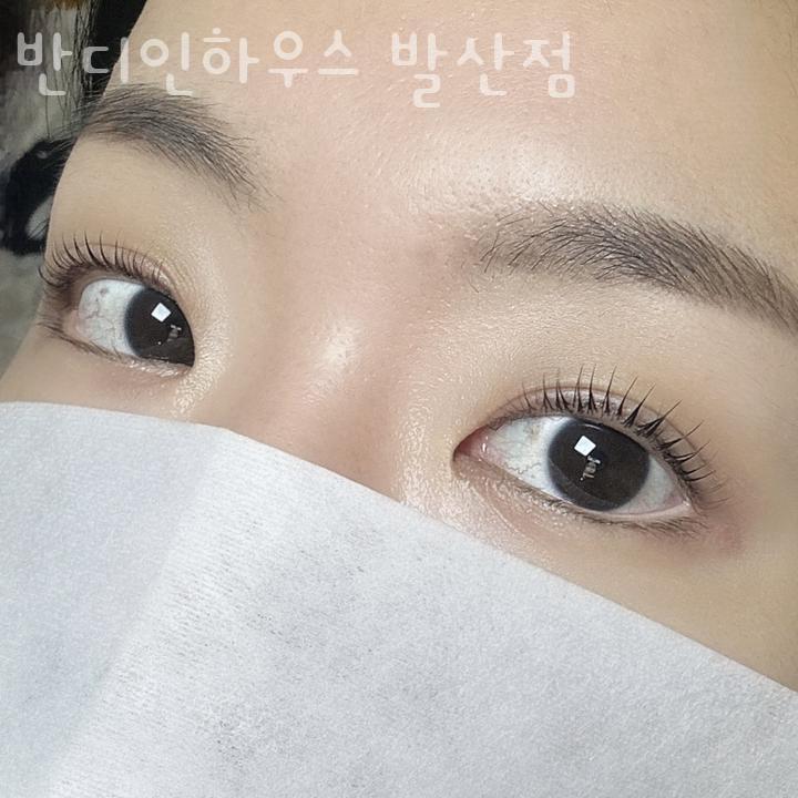 디자인반디 이미지