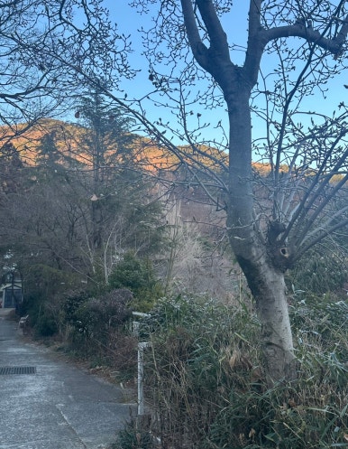 도예노래방 이미지