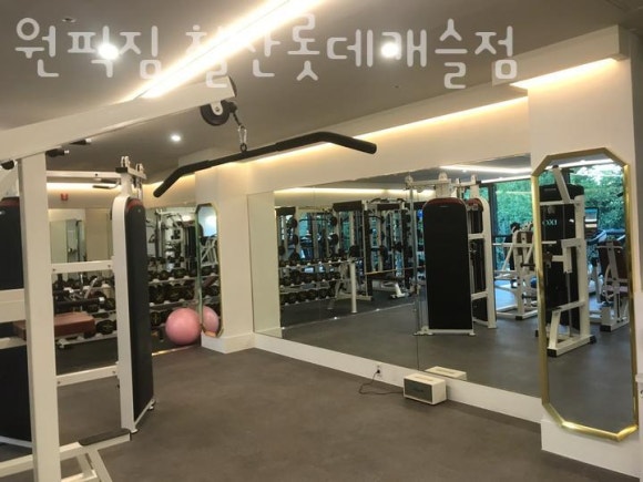 원픽짐 이미지