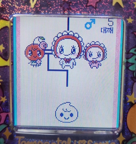 썸퍼플 이미지