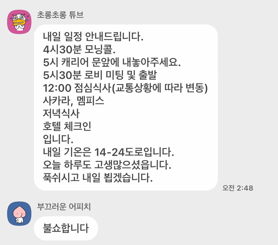 미대이모 이미지