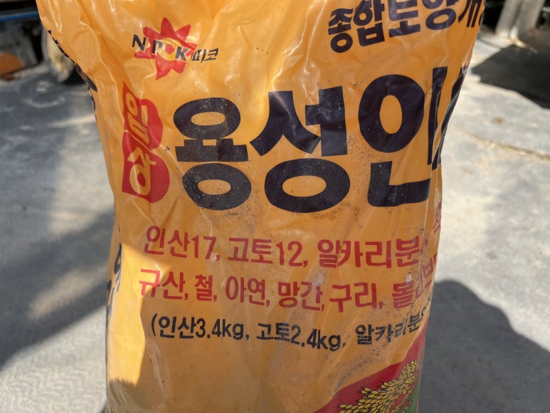 용성땅콩 이미지