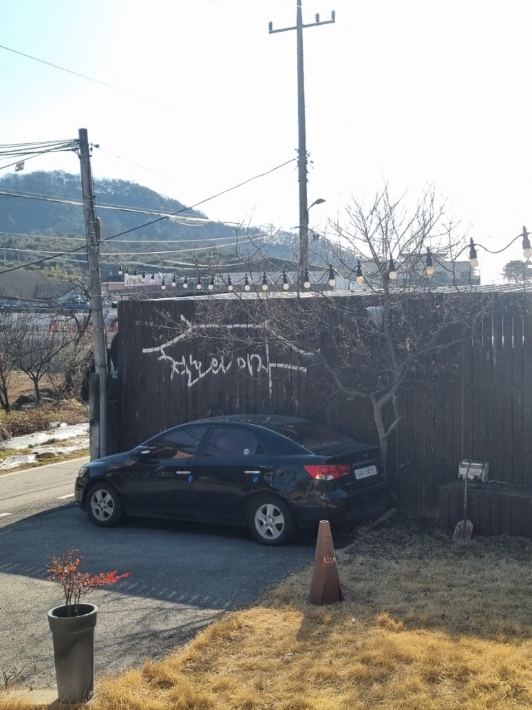 철호와미자 이미지