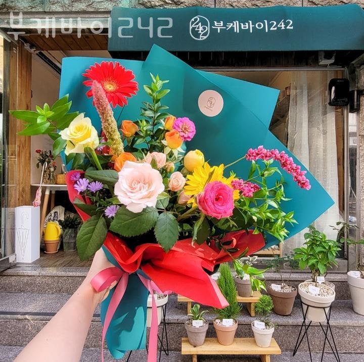 부케바이242 이미지