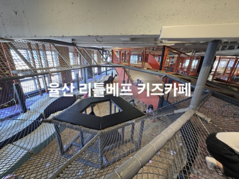 리틀베프 이미지
