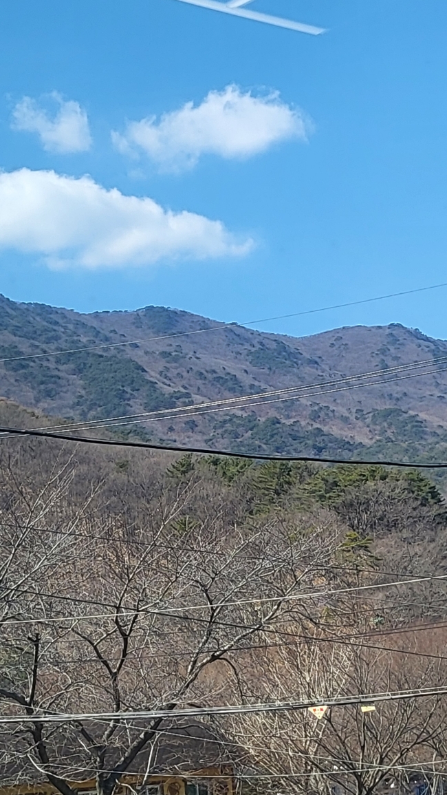 누리카츠 이미지