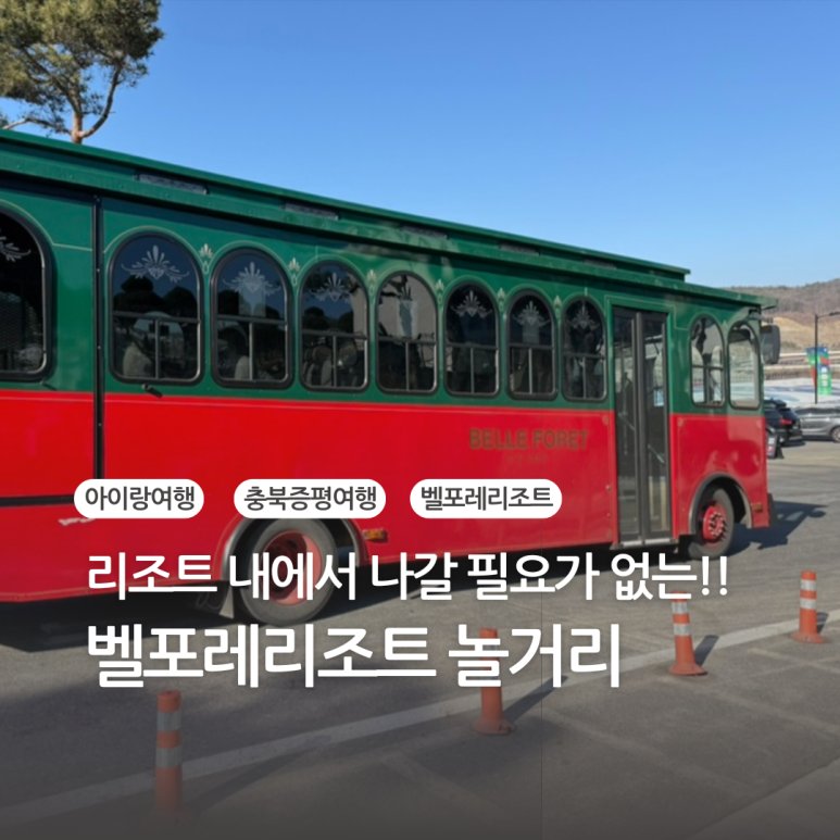 벨포레얼룩말카페 이미지