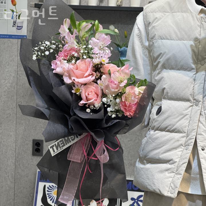 디그먼트 이미지
