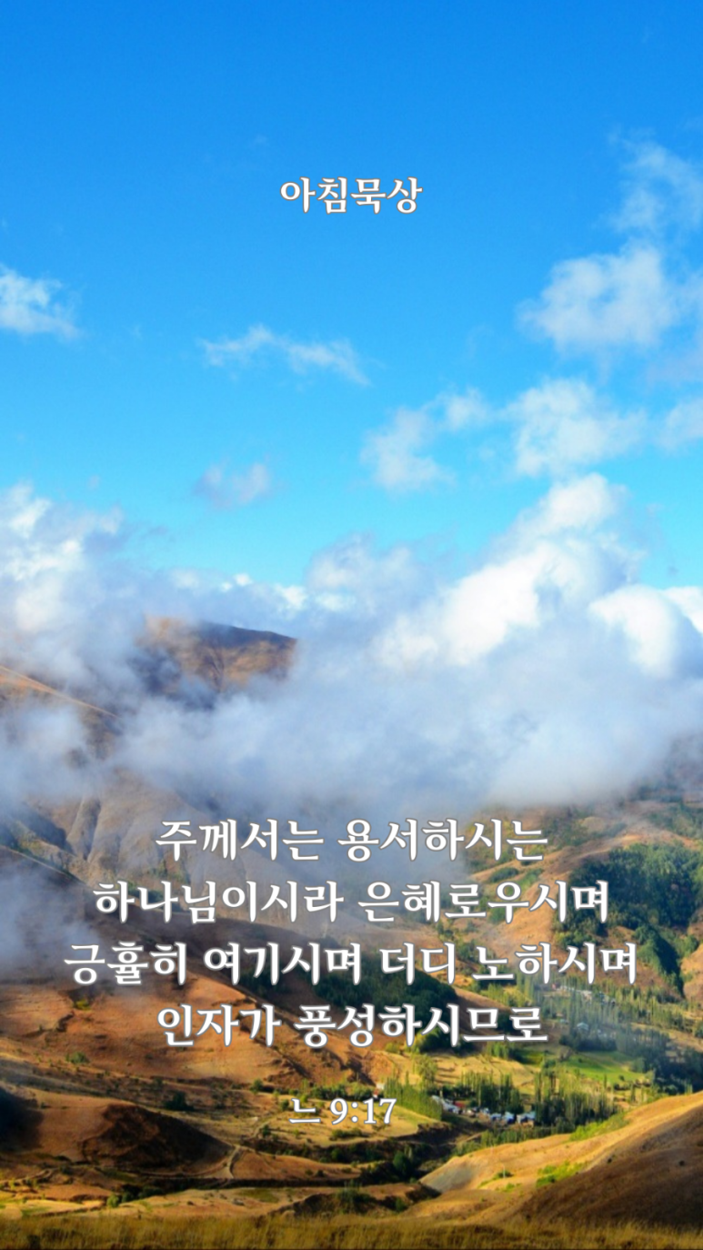 더디주 이미지