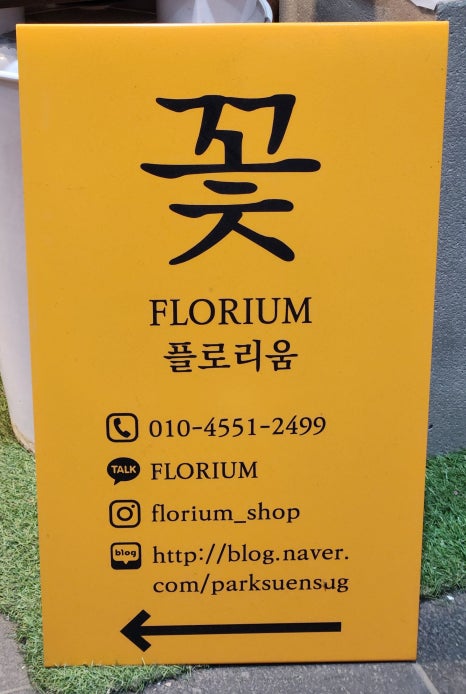 플로리움 이미지