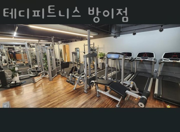 테디피트니스 이미지