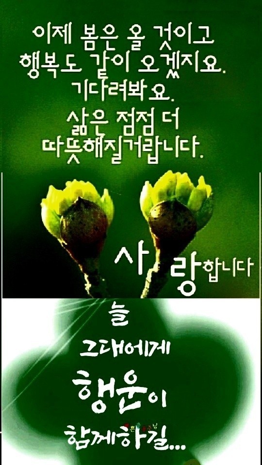 봄날같은하루 이미지