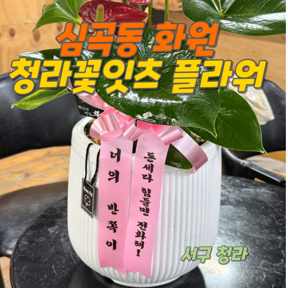 사계절화원 이미지
