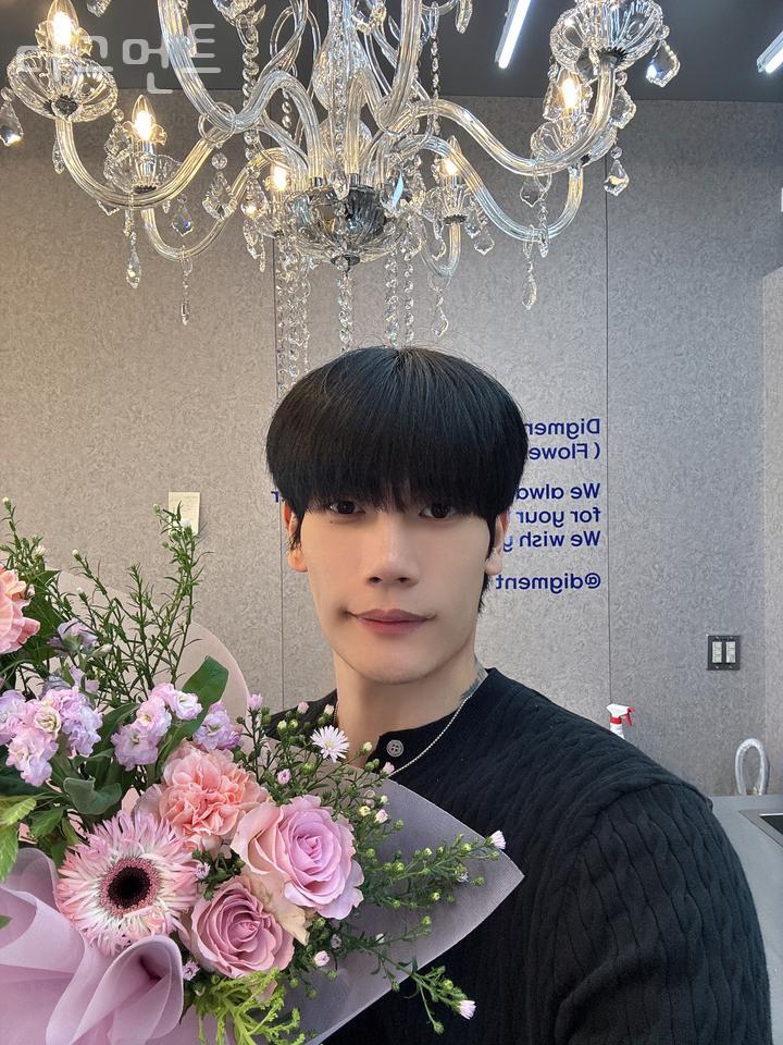 디그먼트 이미지
