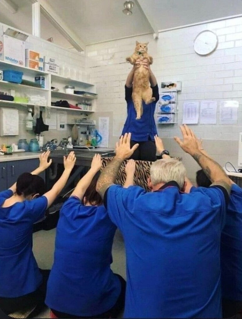 두은 이미지