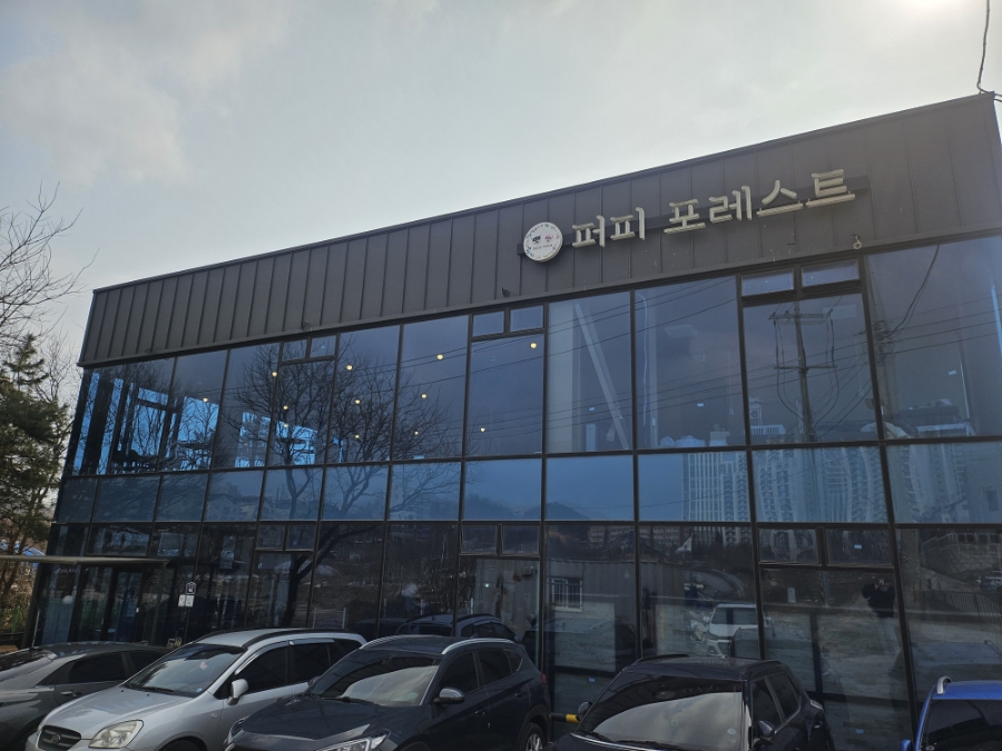퍼피포레스트 이미지