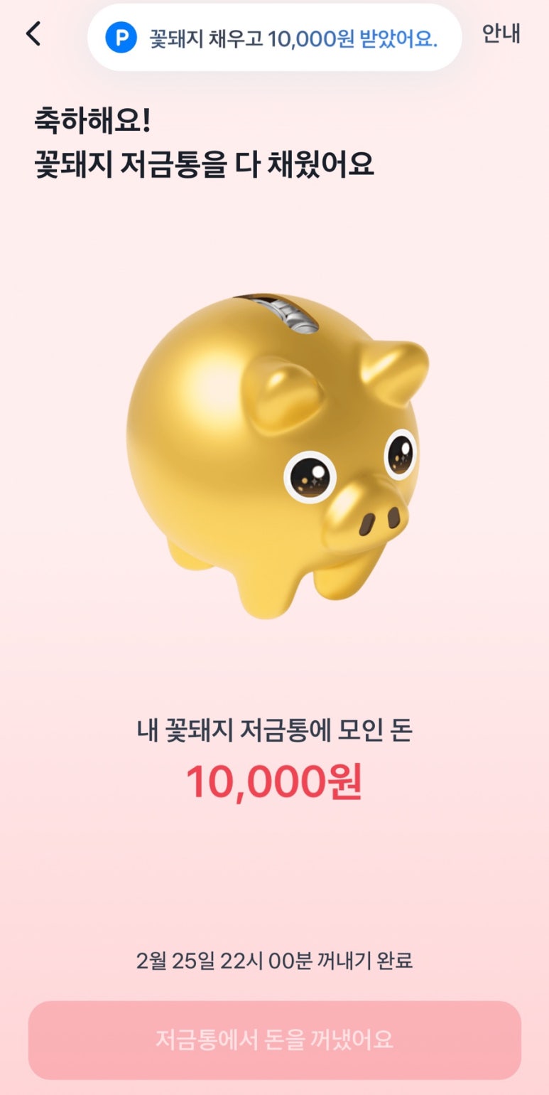 꽃돼지 이미지