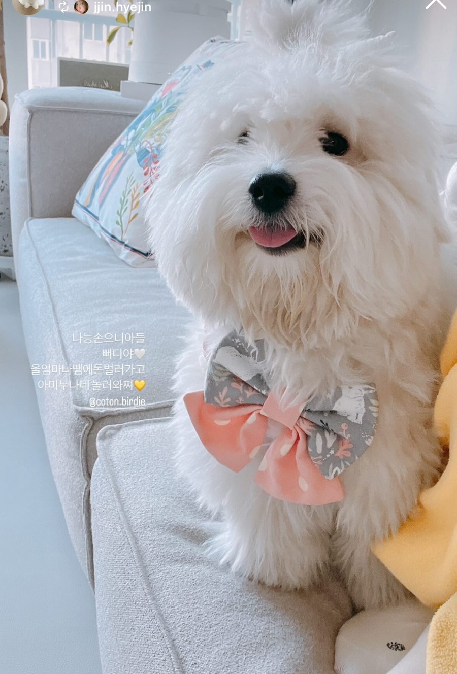 미니몽 이미지
