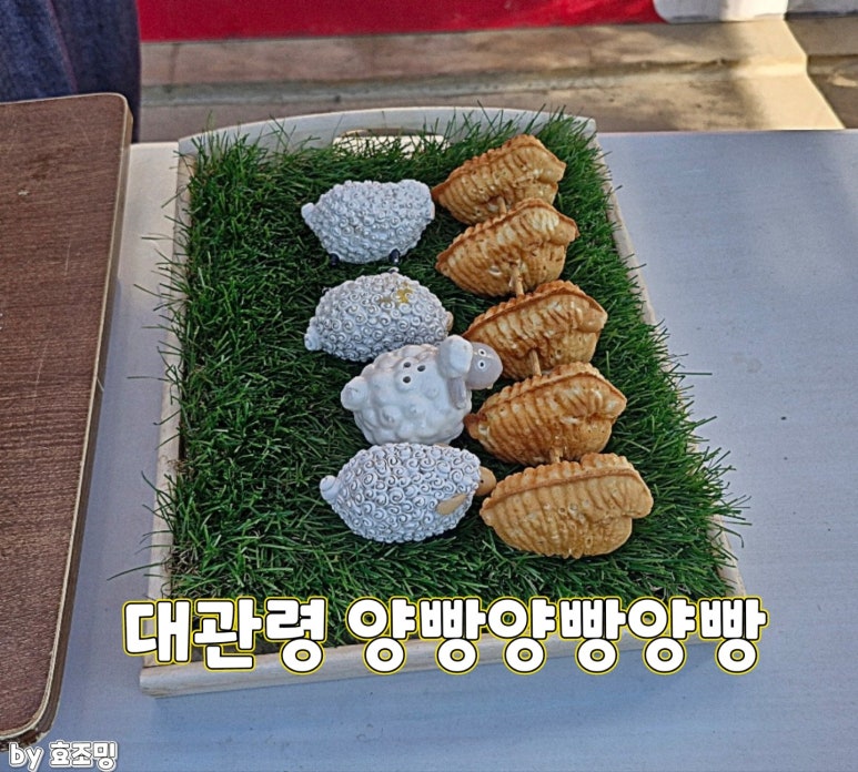 대관령양빵양빵양빵 이미지
