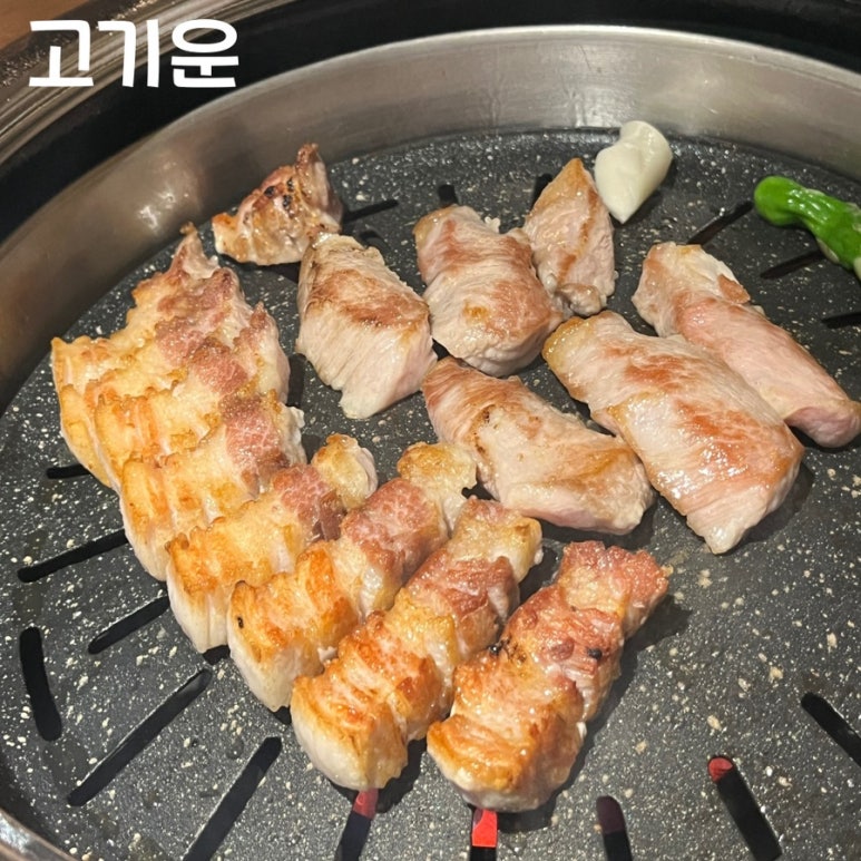 고기운 이미지