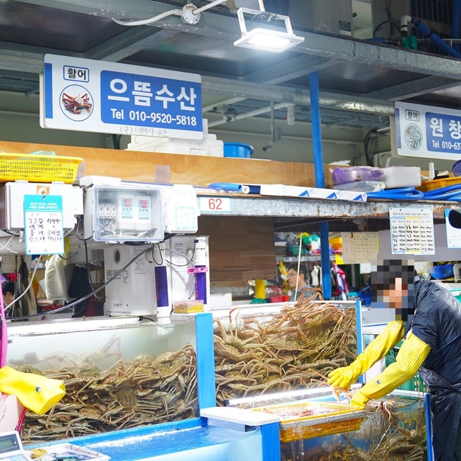 주) 주문진시장 이미지