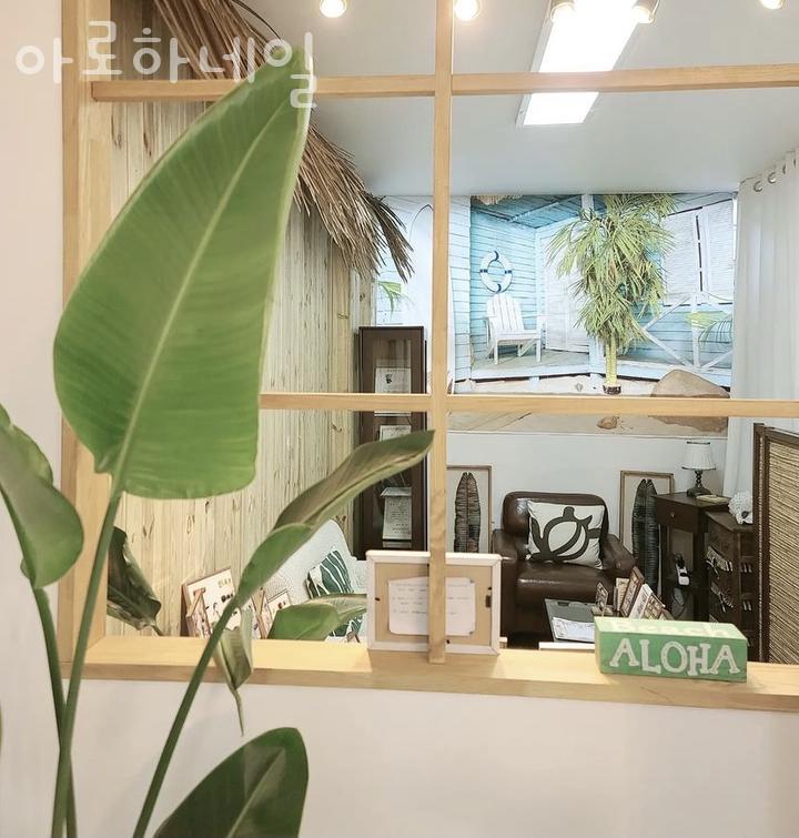아로하네일 이미지