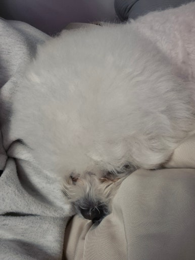 오타쿠 이미지