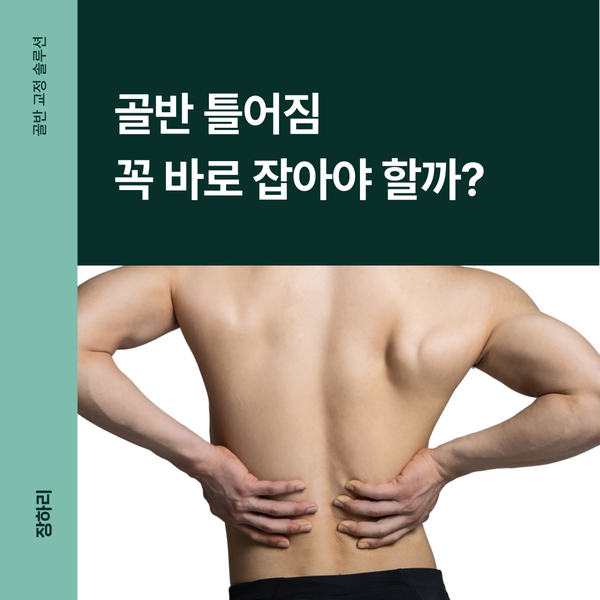 더파트바디랩 이미지