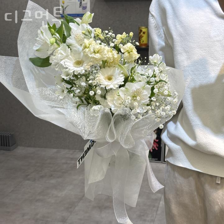 디그먼트 이미지