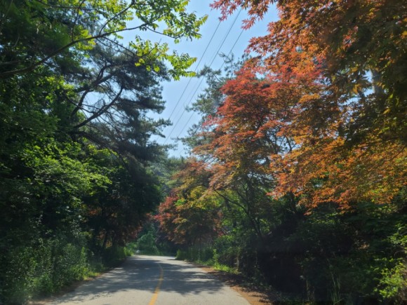 삼천포초등학교 이미지