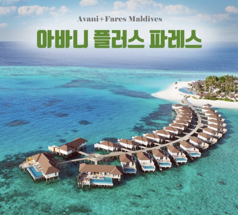 파레스식당 이미지