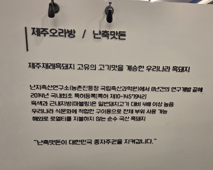 제주오라방거제 이미지